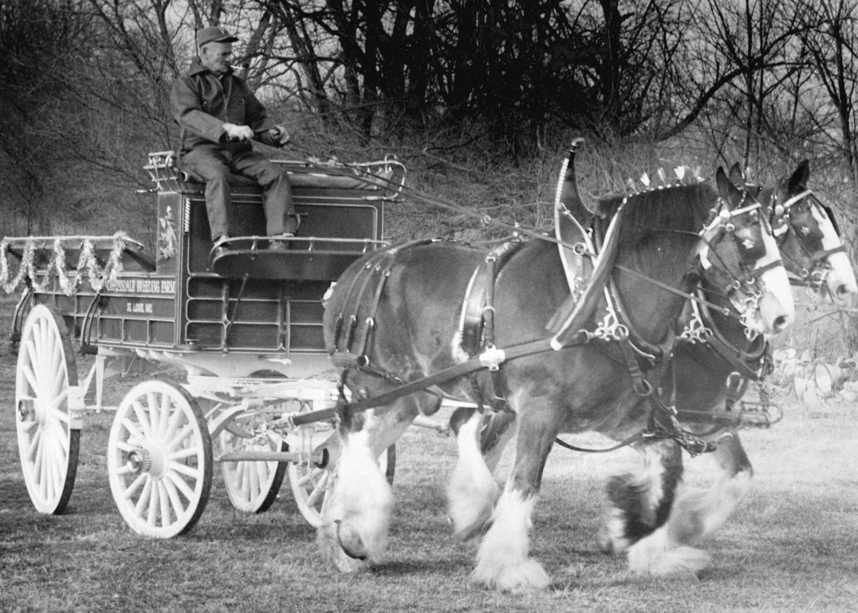 History Corner: A Look Back